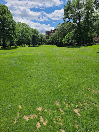 Golf Course «New Hope Village Golf Course», reviews and photos, 8130 Bass Lake Rd, New Hope, MN 55428, USA