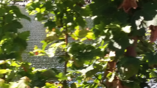 Theme Park «Lake Compounce», reviews and photos, 186 Enterprise Dr, Bristol, CT 06010, USA