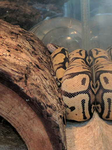 Pet Supply Store «Pet Finatics», reviews and photos, 3150 Navarre Ave, Oregon, OH 43616, USA