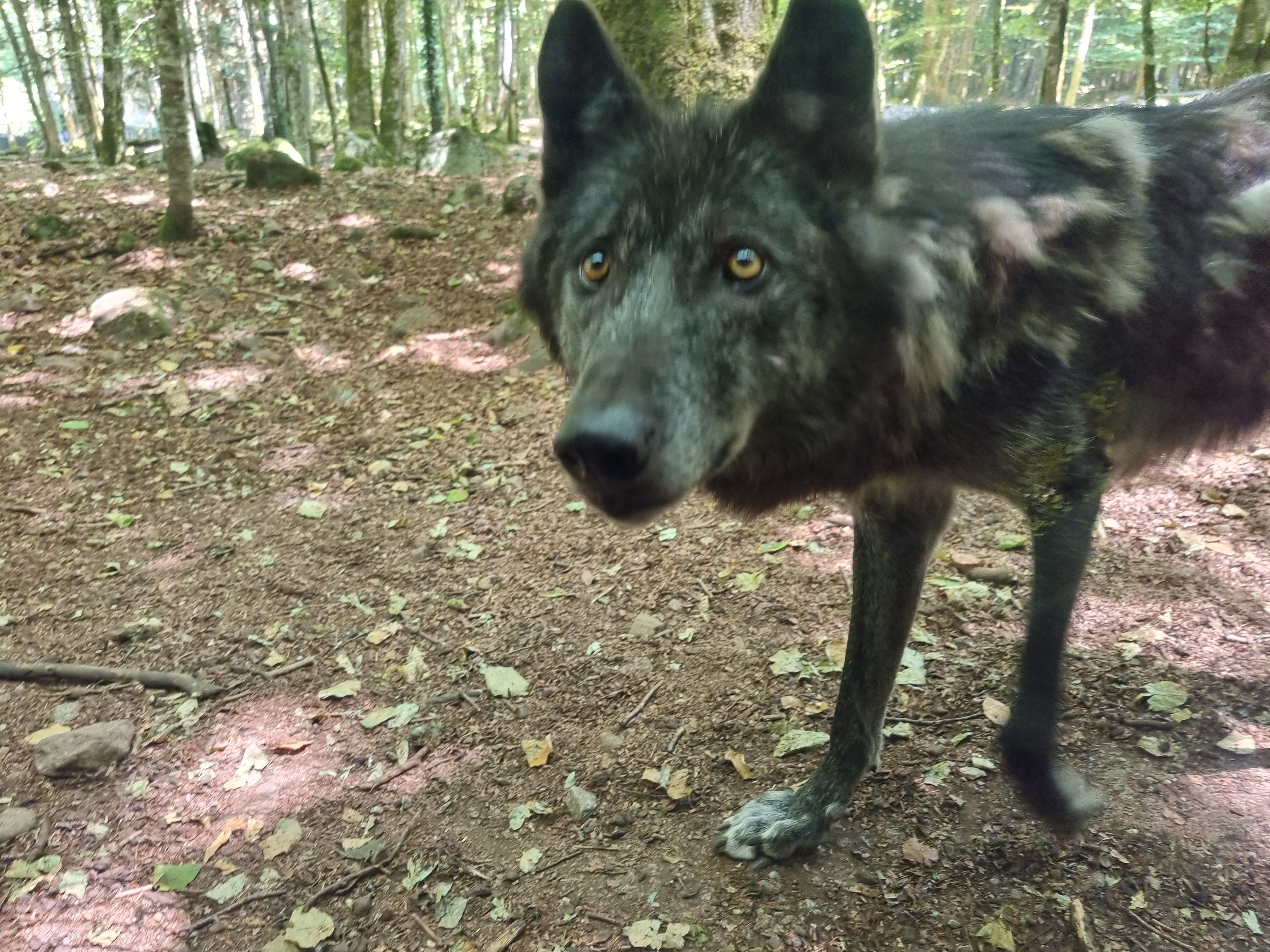 Photo n° 1 de l'avis de Clément.U fait le 27/07/2022 à 09:57