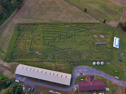 Howell Farm Corn Maze