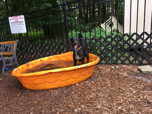 Pet Supply Store «The Hungry Puppy», reviews and photos, 1288 NJ-33, Farmingdale, NJ 07727, USA