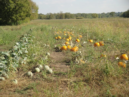 History Museum «OIiver Kelley Farm», reviews and photos, 15788 Kelly Farm Rd NW, Elk River, MN 55330, USA