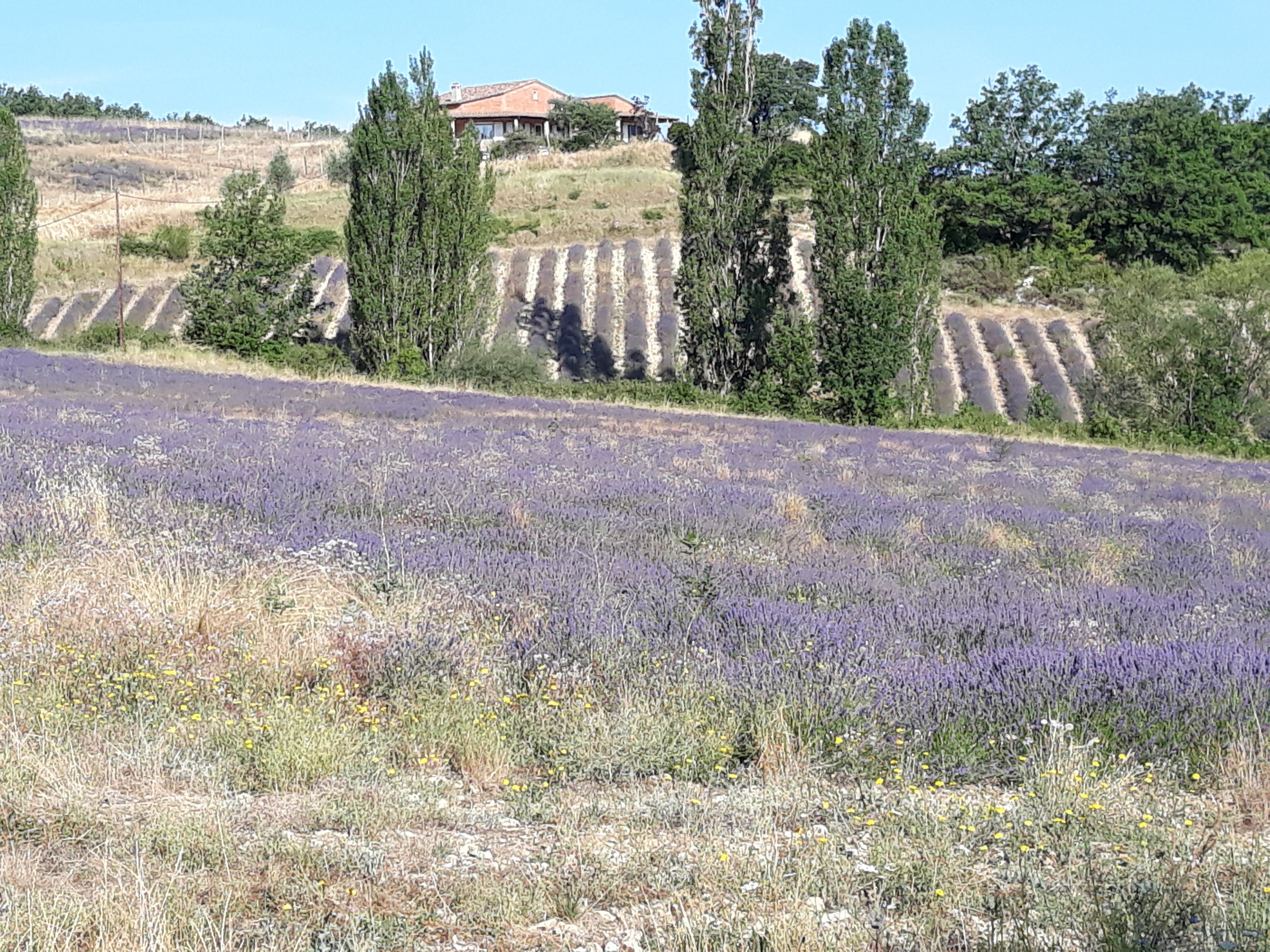 Photo n° 2 de l'avis de Noella.n fait le 27/07/2019 à 09:24