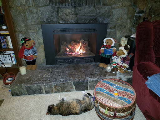 Hot Tub Store «Santa Cruz Fireplace and Hot Tub», reviews and photos, 920 Ocean St, Santa Cruz, CA 95060, USA