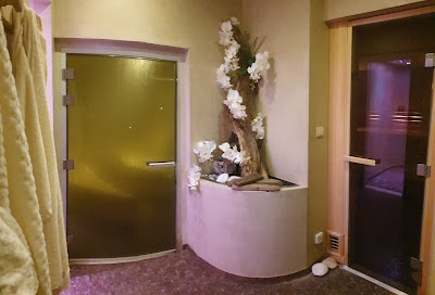 Central SPA à Troyes