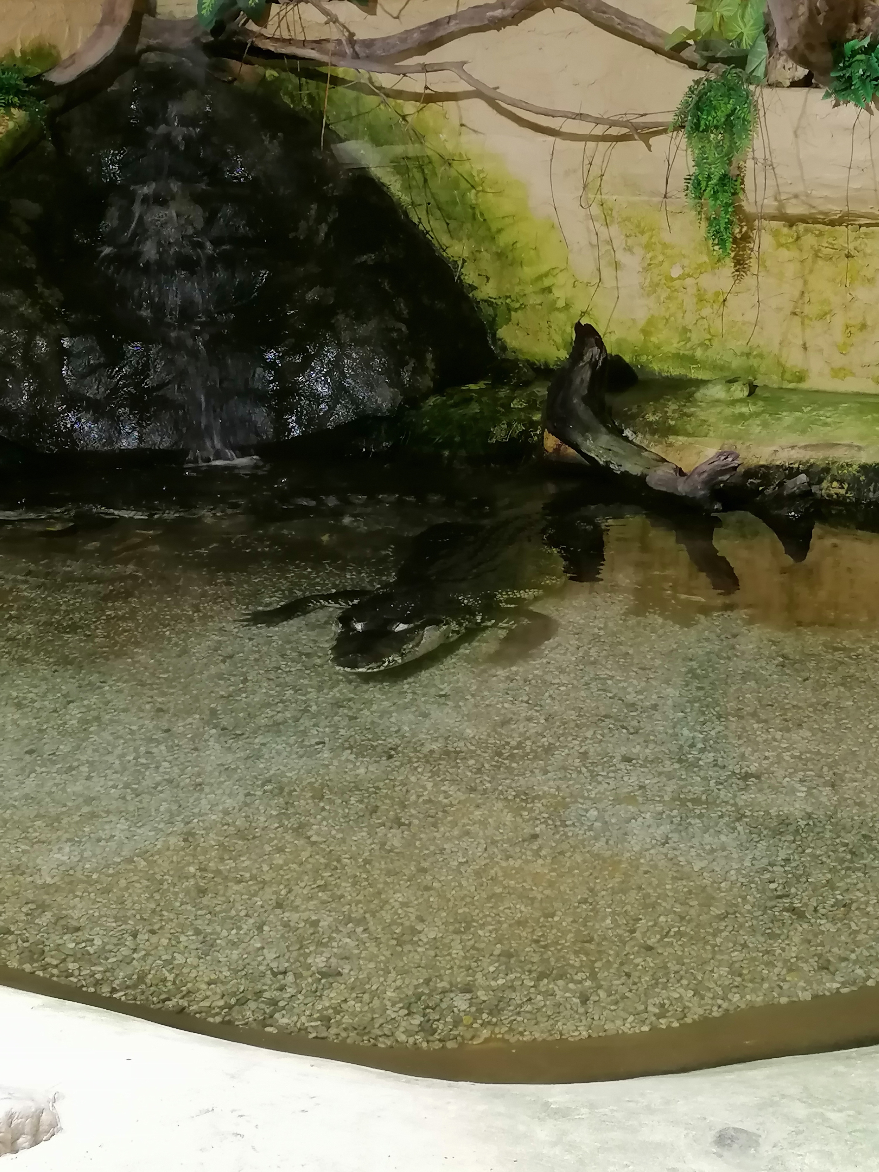 Photo n° 4 de l'avis de Lixie26. fait le 02/08/2023 à 16:19