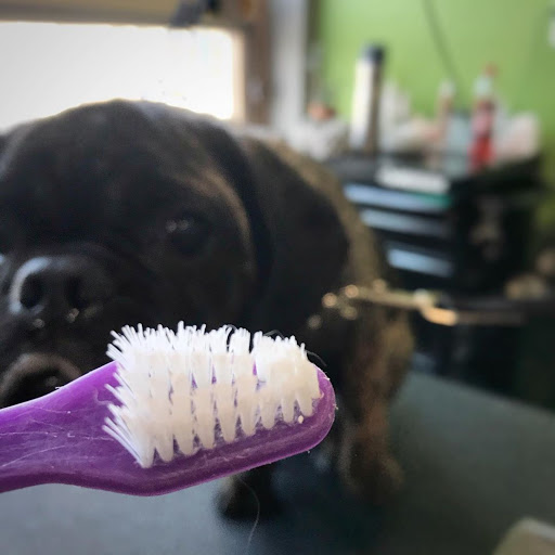 Ollu Self Serve Dogwash & Grooming Salon
