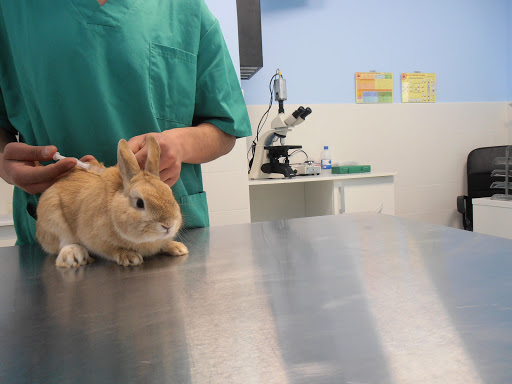 Clínica Veterinaria Sylvestralia en Zamora