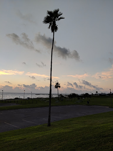 Amphitheater «Cole Park Amphitheater», reviews and photos, 1526 Ocean Dr, Corpus Christi, TX 78404, USA