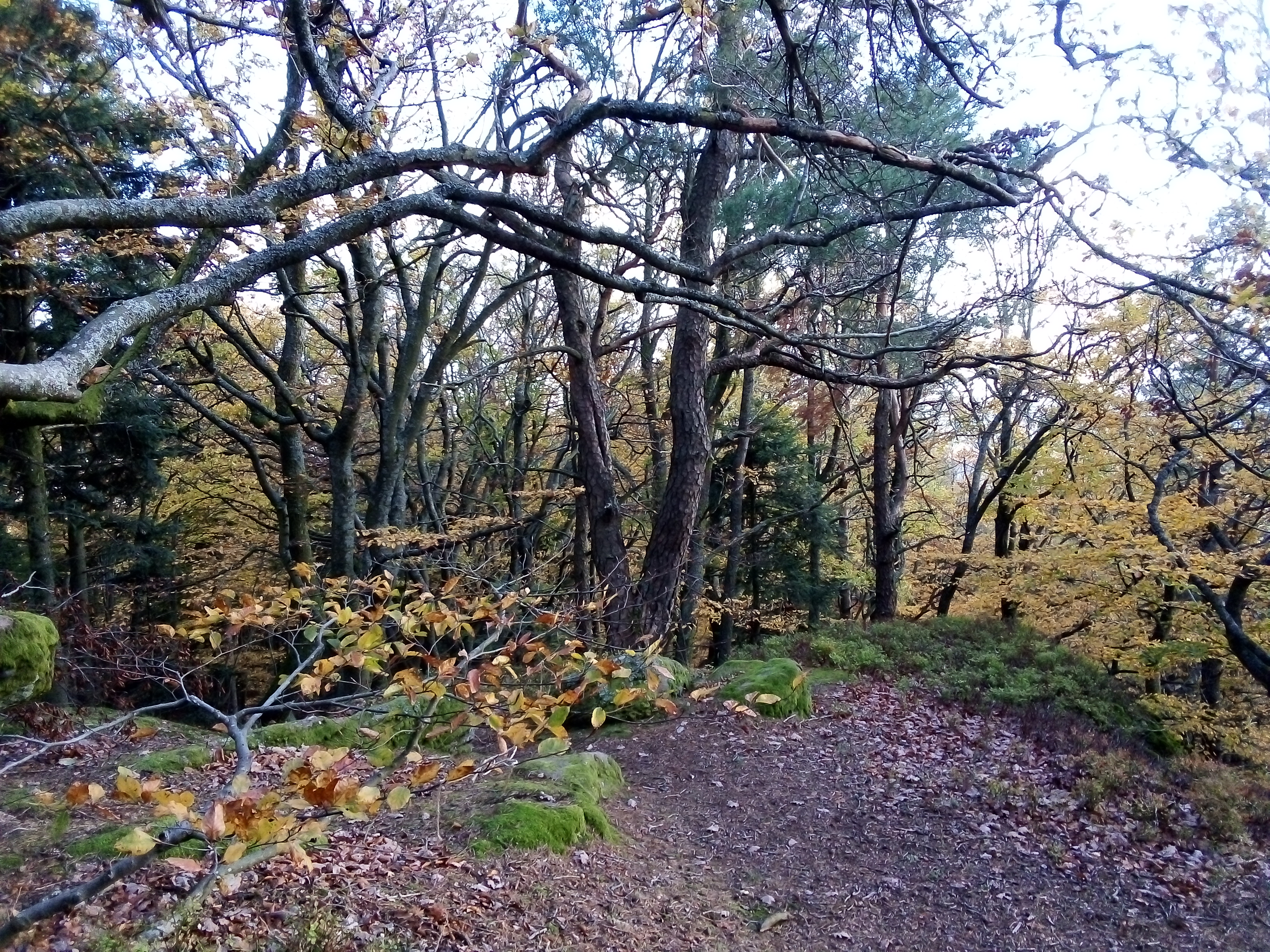 Photo n° 3 de l'avis de NICORA.E fait le 09/11/2019 à 15:51