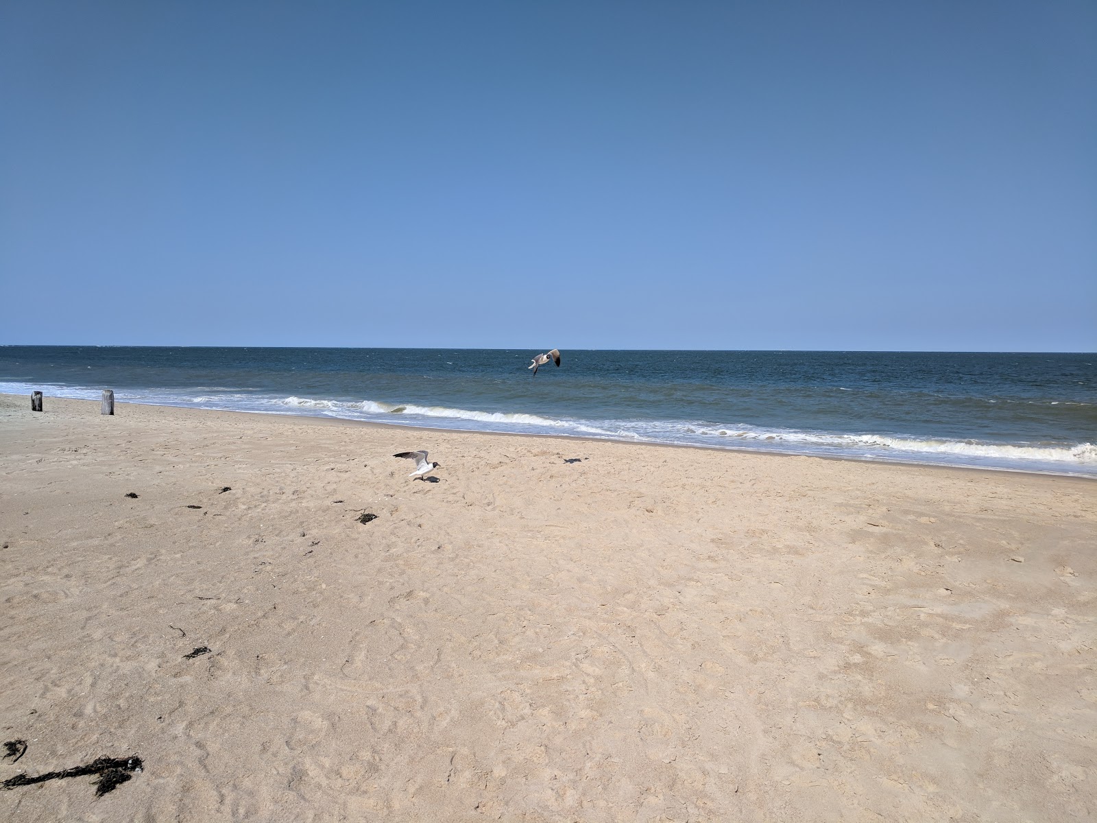 Φωτογραφία του Bethany Beach I με μπλέ νερό επιφάνεια