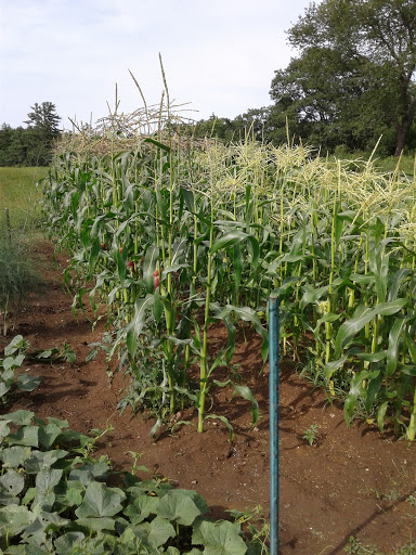 Warehouse club «BJ’s Wholesale Club», reviews and photos, 400 Quality Dr, Hooksett, NH 03106, USA