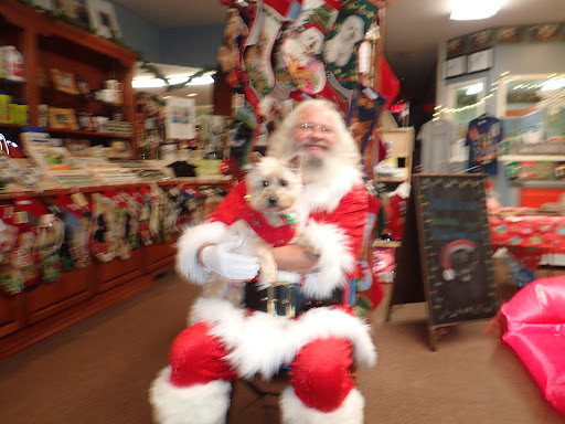 Pet Supply Store «Decadent Dogs», reviews and photos, 206 S River Ave, Holland, MI 49423, USA