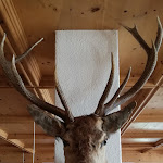 Photo n°3 de l'avis de Emily.u fait le 13/08/2020 à 15:00 sur le  Hotel La Montanina à Livigno