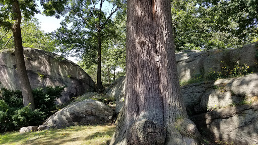 Park «Horatio Harris Park», reviews and photos, 85 Harold St, Boston, MA 02119, USA