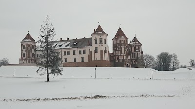 Photos of Mir Castle Complex