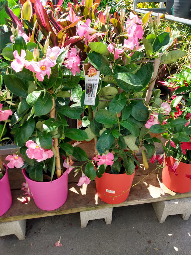 Home Improvement Store «The Home Depot», reviews and photos, 3402 Forum Blvd, Fort Myers, FL 33905, USA