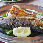 Photo n°7 de l'avis de Andrea.t fait le 19/04/2023 à 19:51 sur le  D.l.f. Dopolavoro Ferroviario à Ladispoli