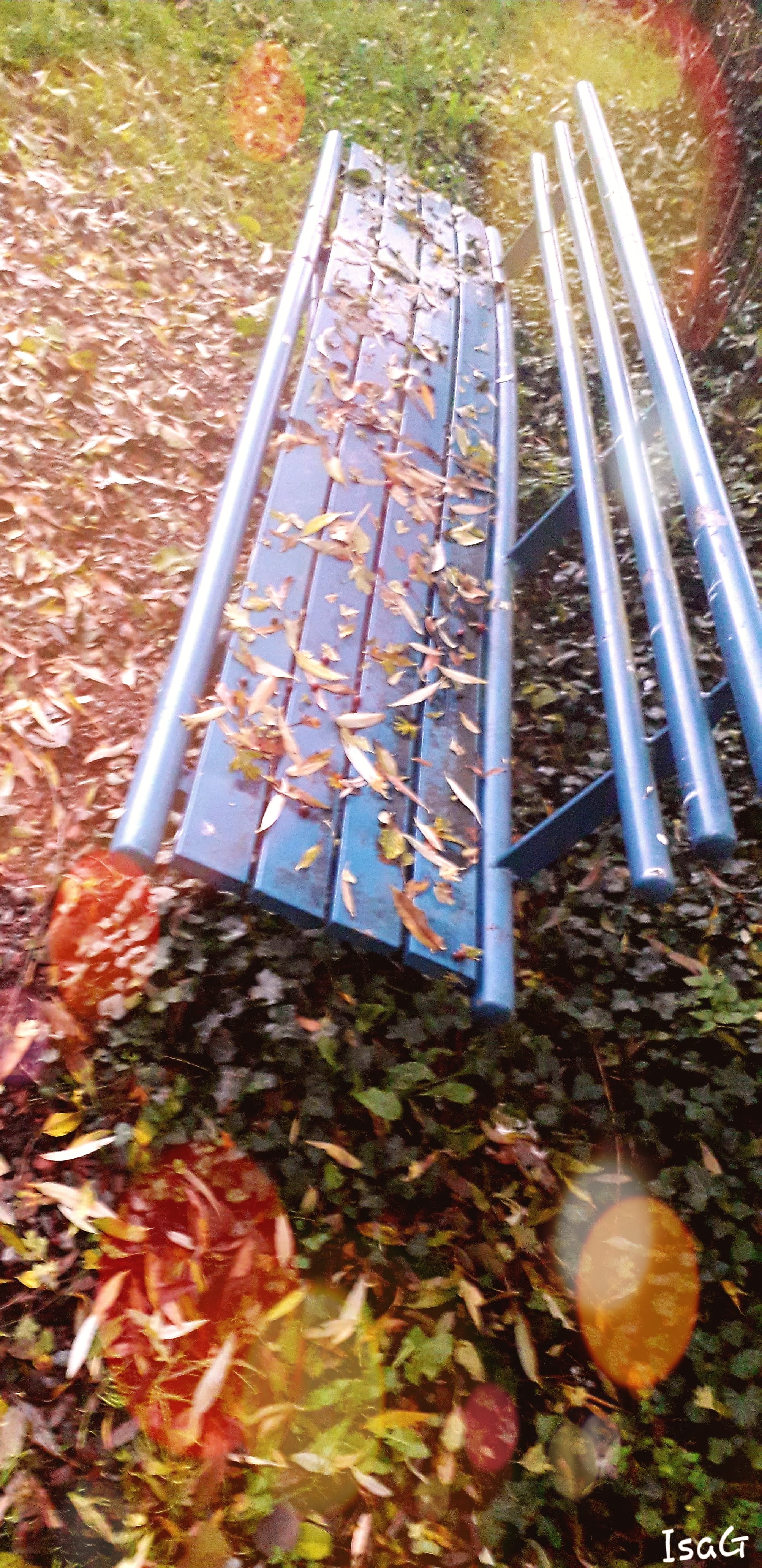 Photo n° 3 de l'avis de Isabelle.o fait le 06/12/2019 à 11:17