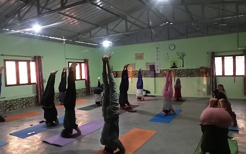 Himalay Yog Shodh Sansthan(Yoga Classes course) image