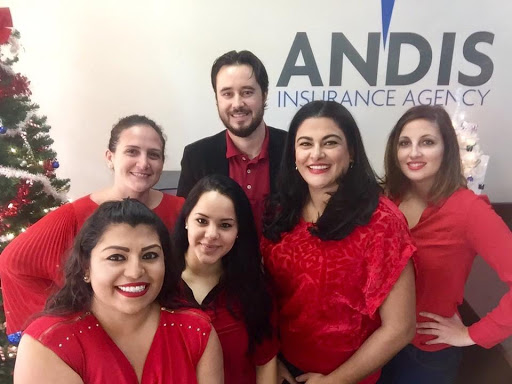 Auto Insurance Agency «Andis Insurance Agency», reviews and photos