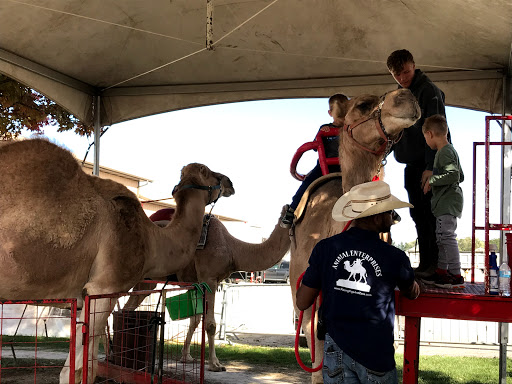 Produce Market «Didier Farms», reviews and photos, 16678 Aptakisic Rd, Lincolnshire, IL 60069, USA