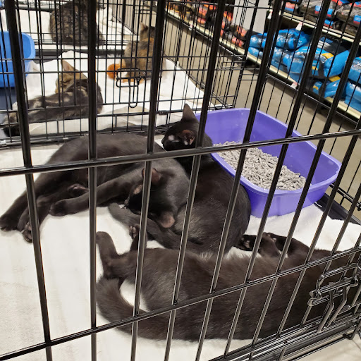 Pet Supply Store «PetSmart», reviews and photos, 1515 US-22, Watchung, NJ 07069, USA