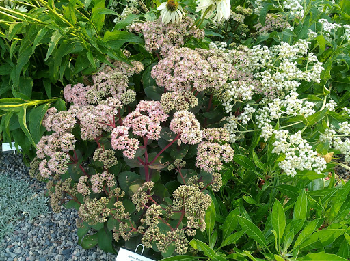 Science Museum «Museum of the Rockies», reviews and photos, 600 W Kagy Blvd, Bozeman, MT 59717, USA