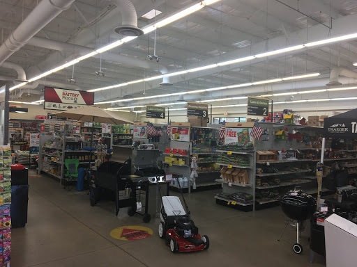 Hardware Store «Askari Ace 1 LLC», reviews and photos, 3802 N Monroe St, Tallahassee, FL 32303, USA
