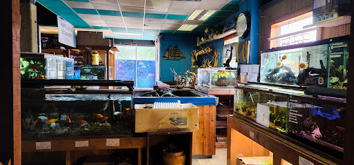 Pet Store «Aqualand Aquarium Center», reviews and photos, 5355 Chicago Ave, Minneapolis, MN 55417, USA