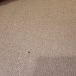 Photo n°3 de l'avis de Patrick.a fait le 11/10/2023 à 10:43 sur le  City Boardinghouse Alsdorf à Alsdorf