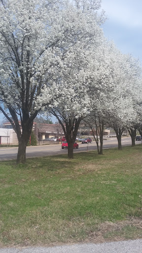 Auto Parts Store «Advance Auto Parts», reviews and photos, 11725 Dorsett Rd, Maryland Heights, MO 63043, USA