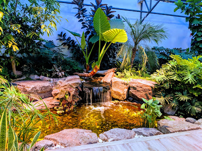 Aquatopia Water Garden Conservatory