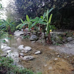 Photo n°2 de l'avis de Livia.a fait le 01/05/2019 à 13:45 sur le  Osteria Candalla à Camaiore