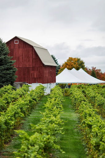 Vineyard «Ciccone Vineyard & Winery», reviews and photos, 10343 E Hilltop Rd, Suttons Bay, MI 49682, USA