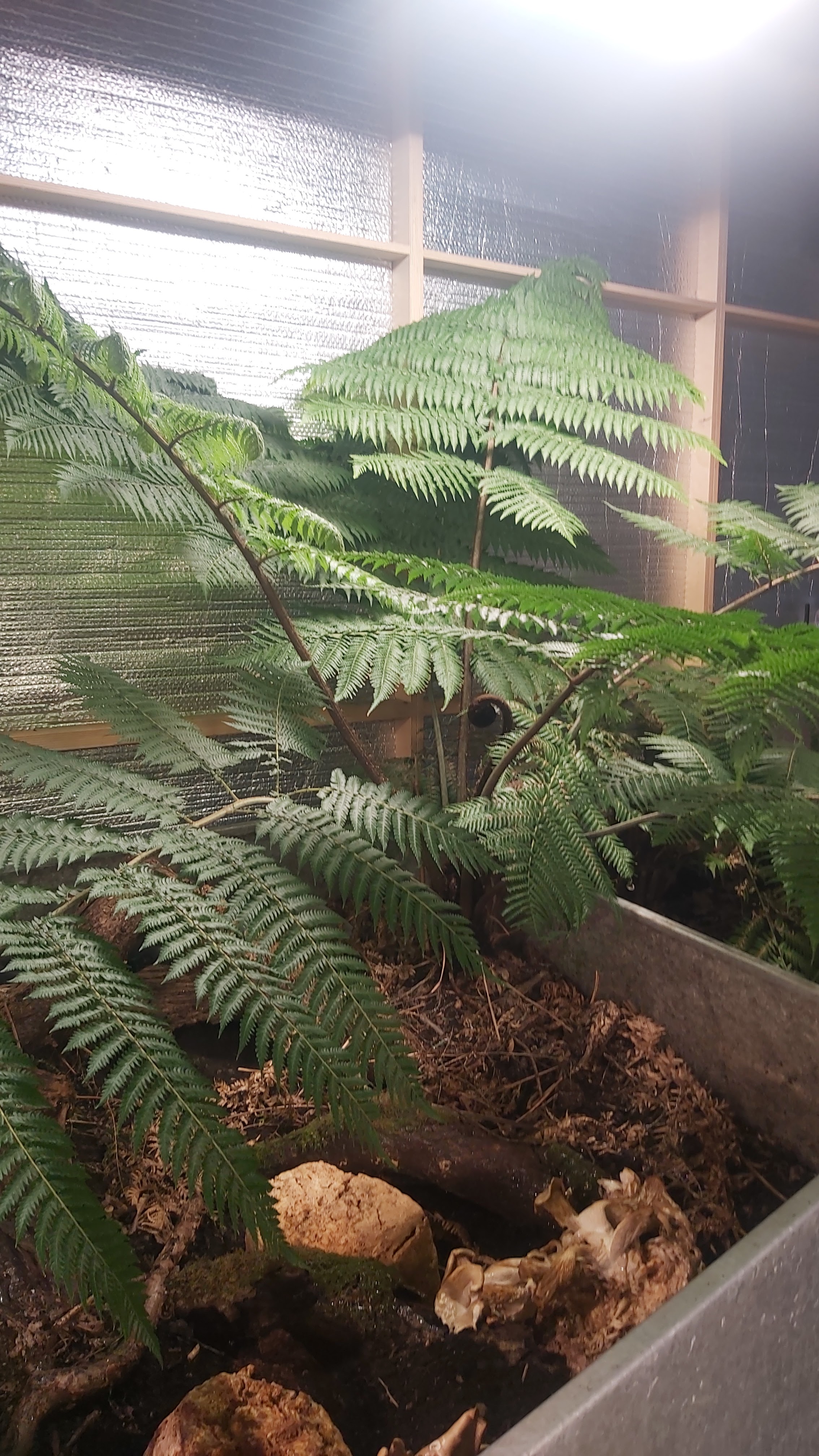 Photo n° 30 de l'avis de Celine.e fait le 27/01/2024 à 14:49