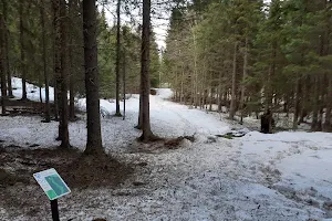 Øverby Disc Golf Park image