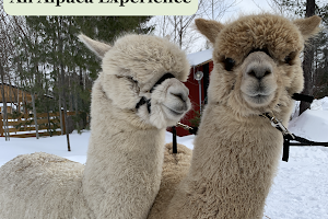 Forest Cove Alpacas & Country Market image