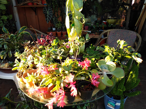 Hardware Store «Ace Hardware», reviews and photos, 3636 S Washington Ave, Titusville, FL 32780, USA