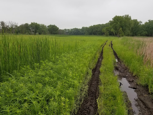 Nature Preserve «Lockport Prairie Nature Preserve», reviews and photos, Broadway St, Lockport, IL 60441, USA