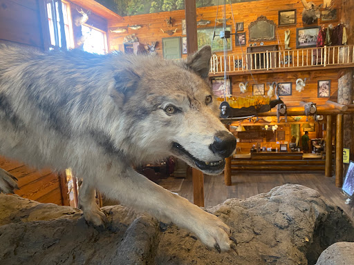 Sporting Goods Store «Bass Pro Shops», reviews and photos, 1356 Bass Pro Dr, Manteca, CA 95337, USA