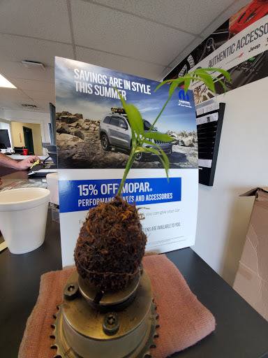 Auto Parts Store «Newberg Dodge Jeep Chrysler Ram», reviews and photos, 2809 Portland Rd, Newberg, OR 97132, USA