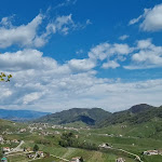 Photo n°1 de l'avis de Mattia.a fait le 17/04/2023 à 10:30 sur le  Osteria Senz'Oste à Valdobbiadene