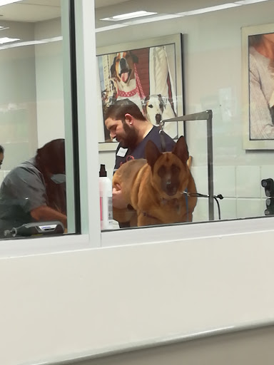 Pet Supply Store «Petco Animal Supplies», reviews and photos, 8111 W Broward Blvd, Plantation, FL 33324, USA