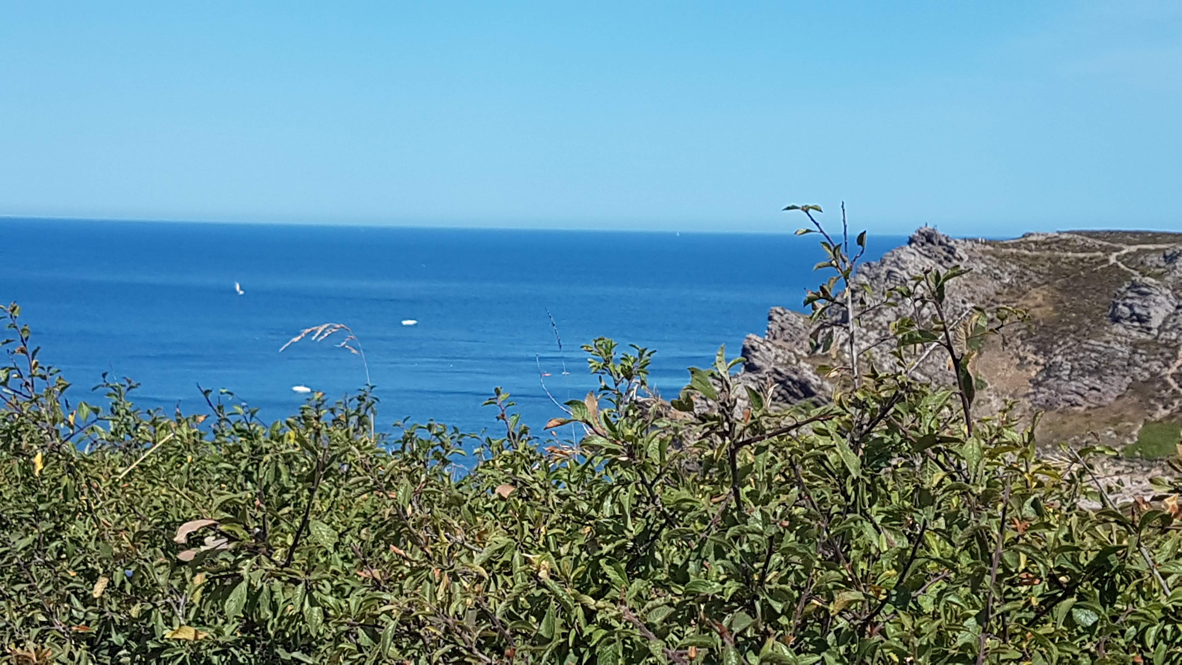 Photo n° 8 de l'avis de Corwin. fait le 17/07/2022 à 17:32