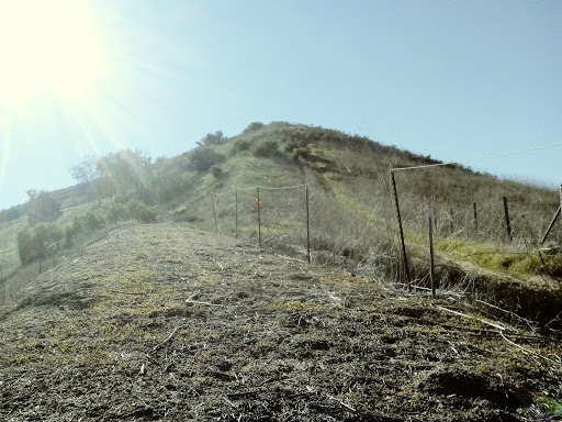 Coffee Shop «ZUMBAR Coffee & Tea», reviews and photos, 10920 Roselle St, San Diego, CA 92121, USA