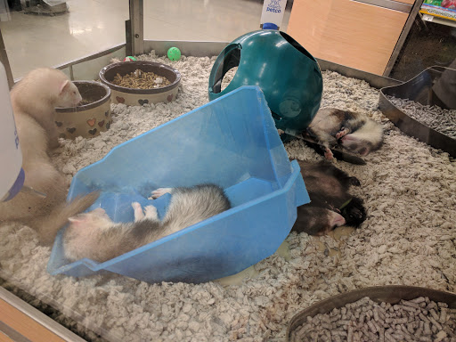 Pet Supply Store «Petco Animal Supplies», reviews and photos, 226 Thornton Drive, Dickson, TN 37055, USA