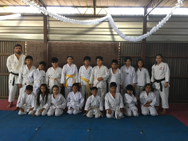 Opiniones de Karate Do Arica BUDO DOJO ARICA en Arica - Escuela