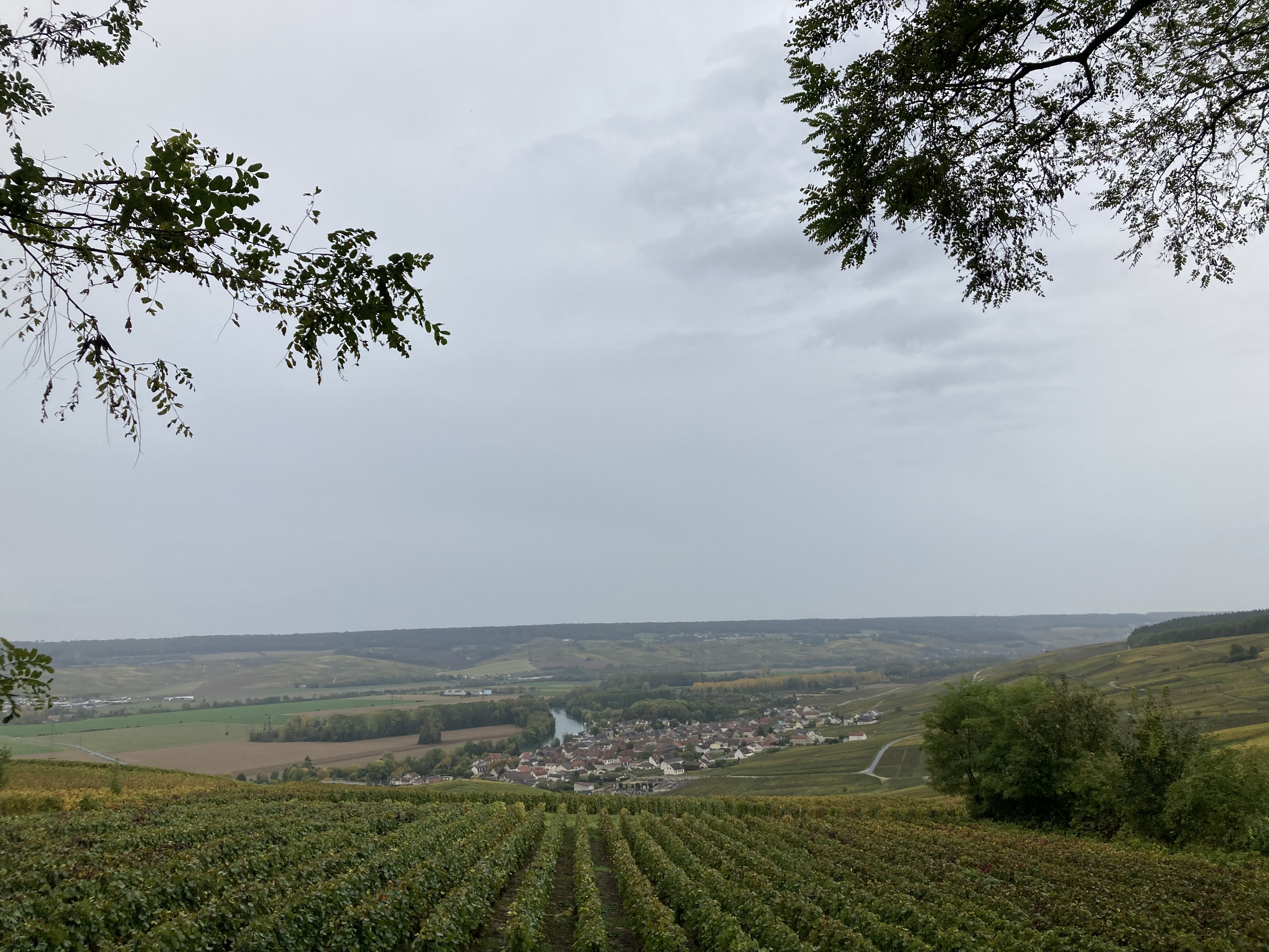 Photo n° 2 de l'avis de Maureen. fait le 23/10/2023 à 17:26